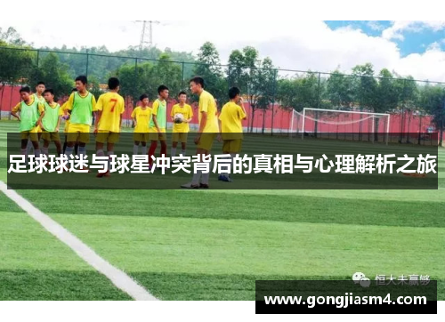 足球球迷与球星冲突背后的真相与心理解析之旅