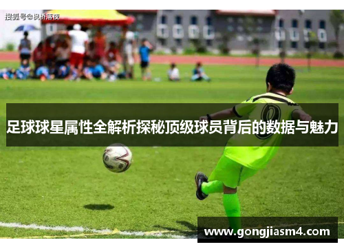 足球球星属性全解析探秘顶级球员背后的数据与魅力